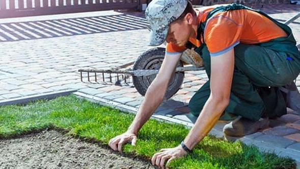 Image d'illustration du métier Espaces verts 